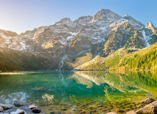 आज विश्व ताल दिवस