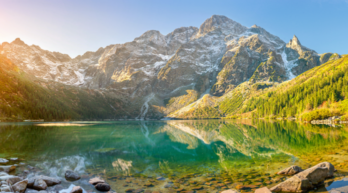 आज विश्व ताल दिवस